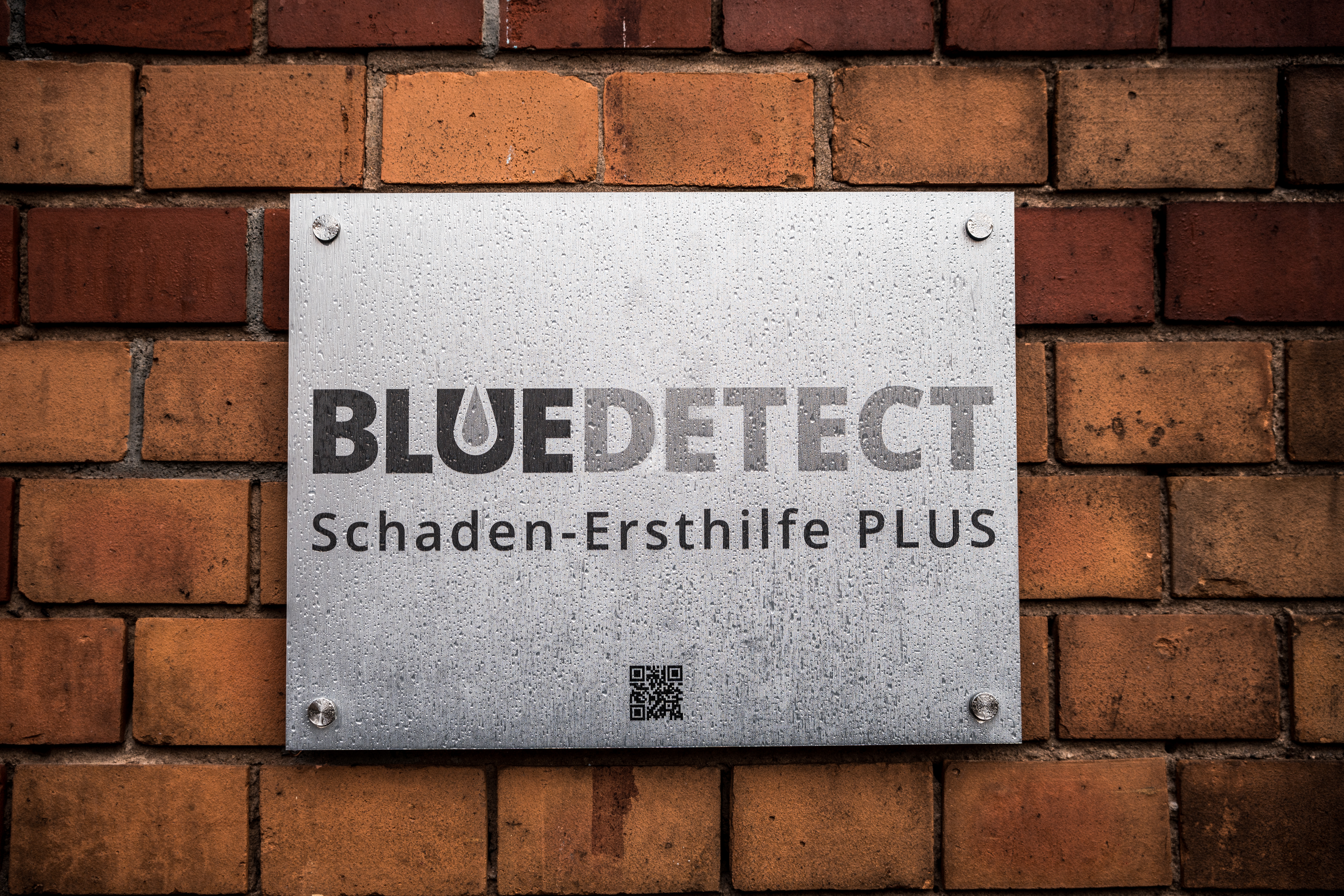 Ihr Spezialist für Leckortung | Blue Detect Vorarlberg