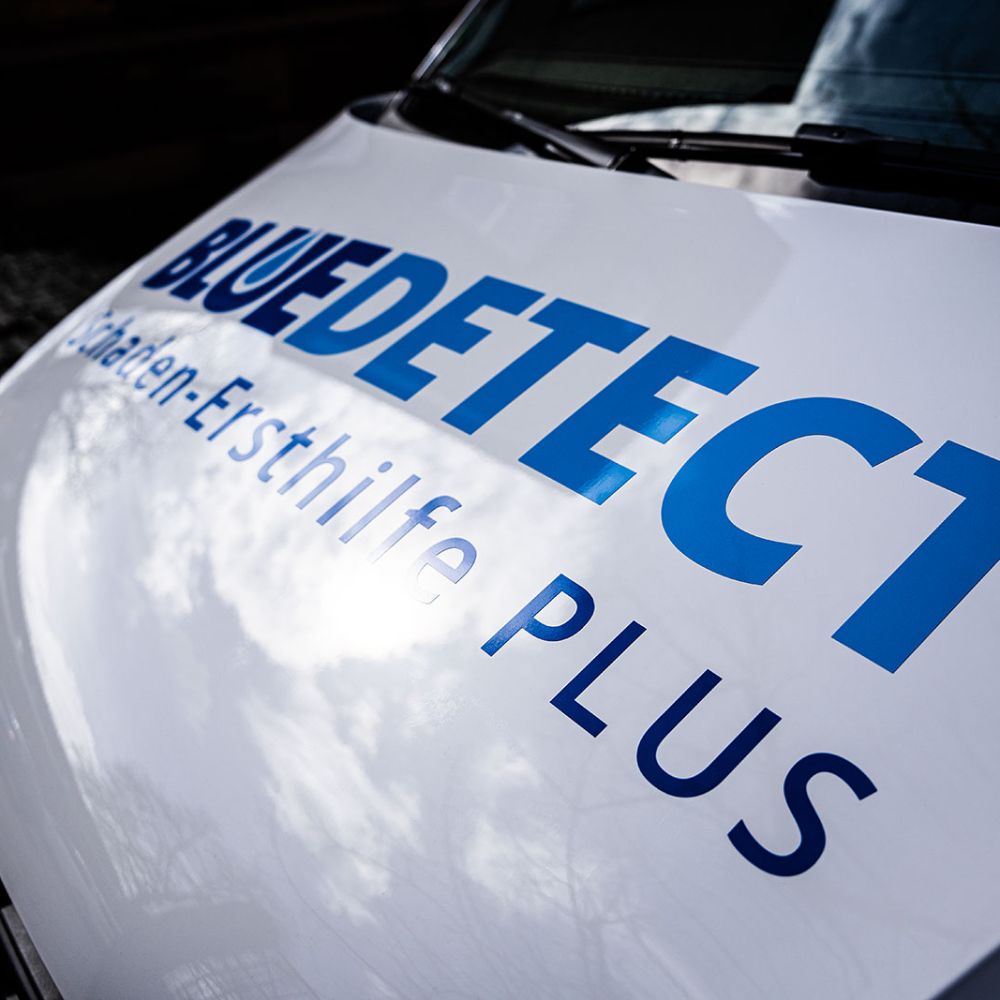 Franchisepartner bei Blue Detect werden | Österreich und Deutschland | der Region Vorarlberg